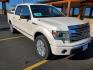 2014 White /Black Ford F-150 Platinum (1FTFW1CFXEF) with an 5.0L V-8 FFV engine, 6-Speed Automatic Electronic transmission, located at 1600 E Hwy 44, Rapid City, SD, 57703, (605) 716-7878, 44.070232, -103.171410 - Photo#0